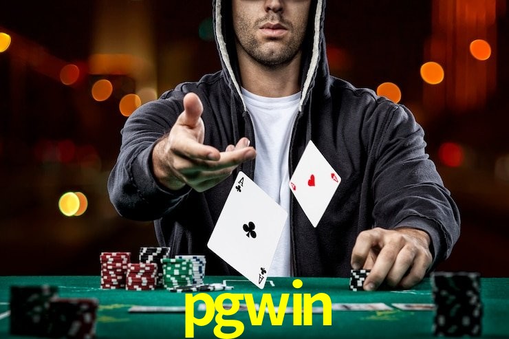 pgwin App Interface